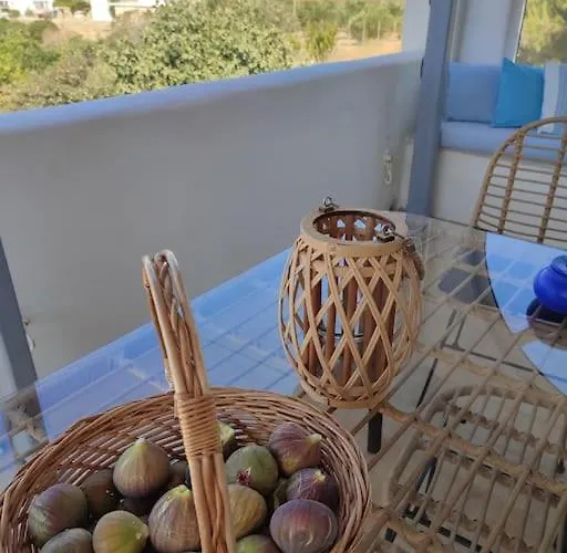 Summer Family House 300m From The